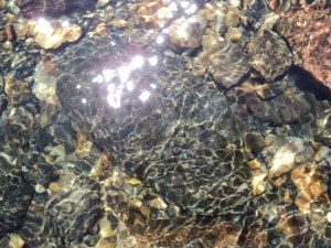 Roches sous l'eau de la Georgian Bay.