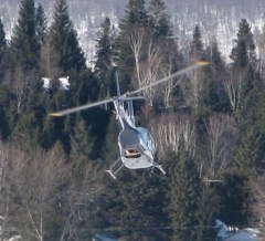 Je tombe par hasard sur cette photo