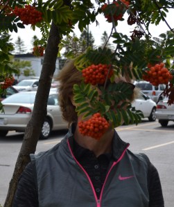 Pendant ce temps-là on a fait des folies