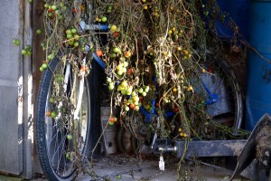 Il s'est produit un miracle