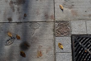 Coquelicot en ce onze novembre sur un trottoir du boulevard Granville