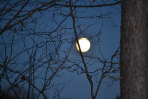 Pleine lune à St-Jean-de-Matha, autour de 17 heures, le 24 décembre 2015