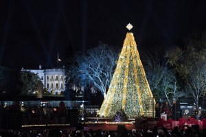 Le traditionnel arbre de Noël illuminé dans le parc du National Mall, en présence de la famille Obama