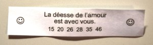 Un biscuit chinois qui ne prédit pas l'avenir ;-(