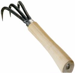 Mini griffe japonaise de jardin, de son vrai nom.