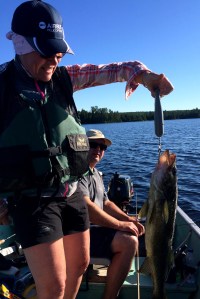 Un doré pêché sur le lac Du Fils, long, le lac, de 19 km.