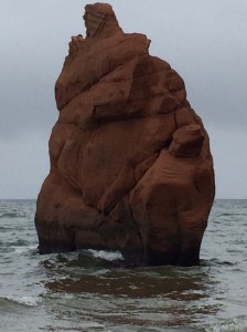 Les sculptures de l'océan.