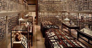 Un bel effet d'accumulation.