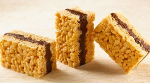 kicfileasset-67945__0069_fudge_sandwich