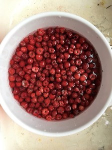 38727318_1472648962836590_6152370076893839360_n