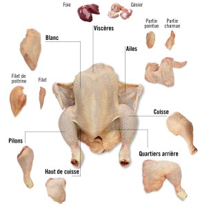 Esquema_pollastre_FRA