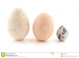 oeufs